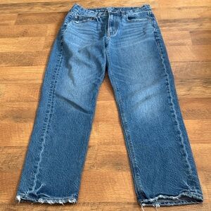 American Eagle Outfitters Blue Straight Leg Jeans